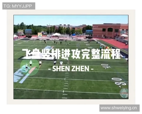 杭州飞盘队与南京飞盘队赛后分析力量对比与战术探讨