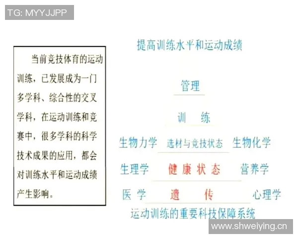 竞技水平提升之路:从基础训练到顶级表现的全面探索与实践 竞技水平提升之路:从基础训练到顶级表现的全面探索与实践